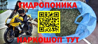 каннабис Донской
