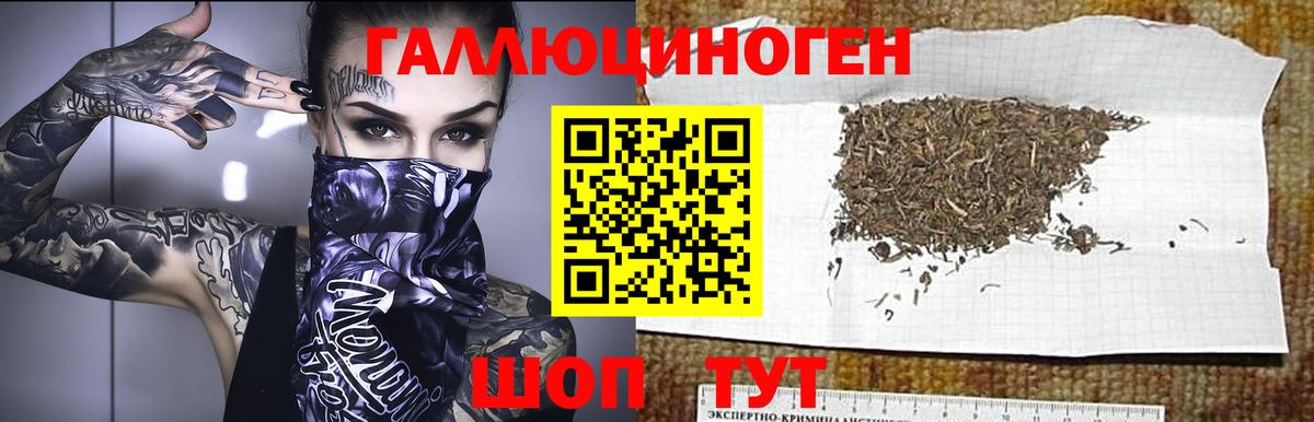 Назарово  Псилоцибиновые грибы MAGIC MUSHROOMS  Вход с VPN  Псилоцибиновые грибы ЛСД 